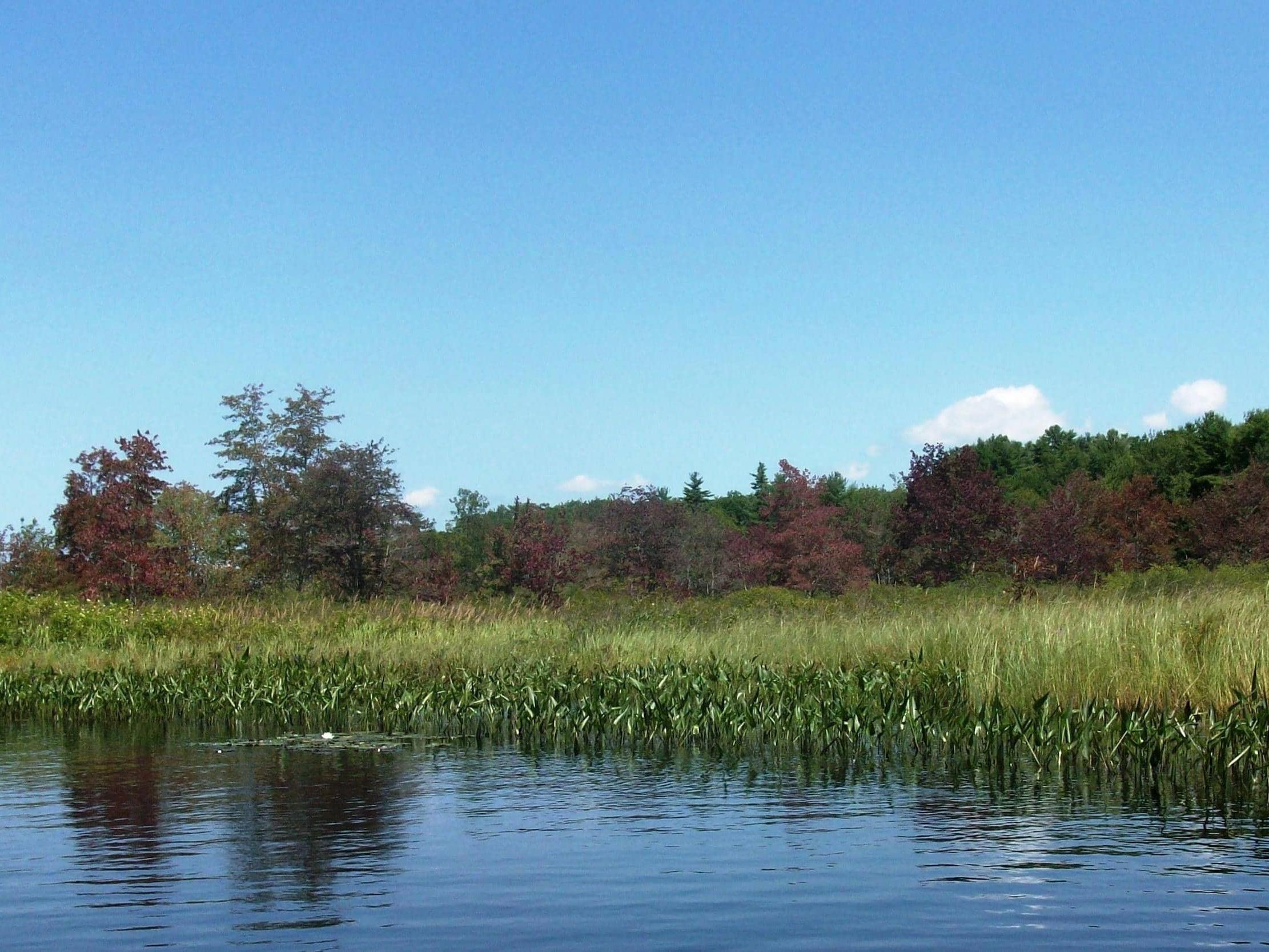 Nobleboro Maine