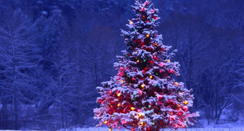 Xmas Tree