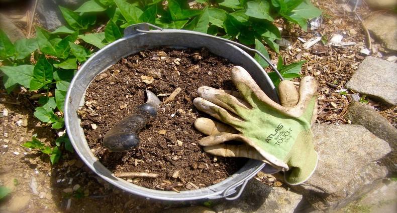 compost